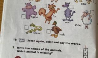 英语中表示动物的单词要大写吗 动物英语怎么说